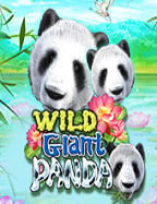 918 slot auto โปร โม ชั่ น slot pg ที่คุณต้องลอง!